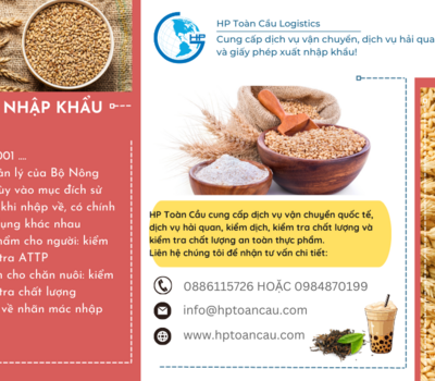 Thủ tục nhập khẩu lúa mì