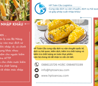 Thủ tục và thuế nhập khẩu ngô